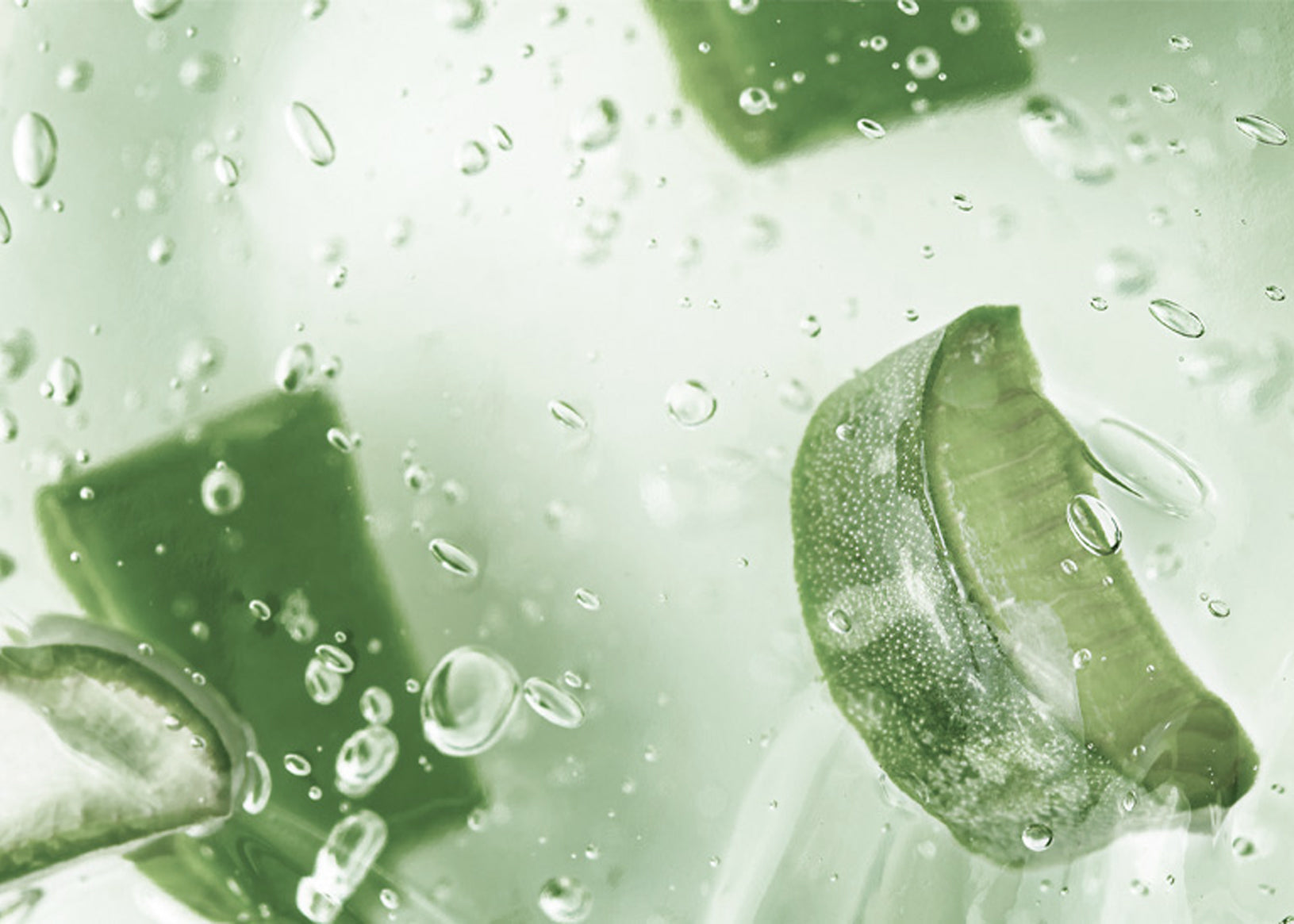 Beauty-Wissen: Inhaltsstoffe und ihre Effekte auf Haut & Haar