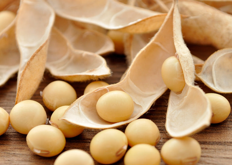 SHAZAY – diamond filtered